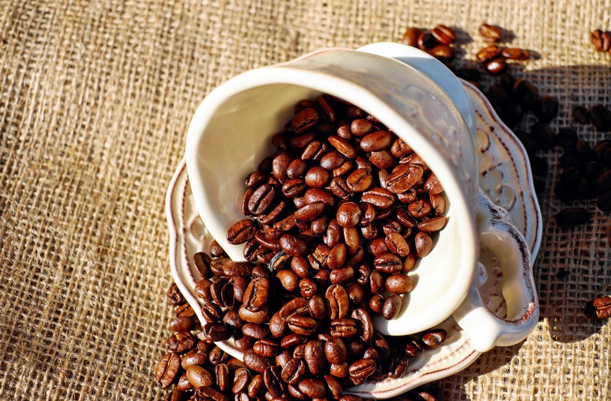 The Rise of Cold Brew: How It Differs from Regular Coffee